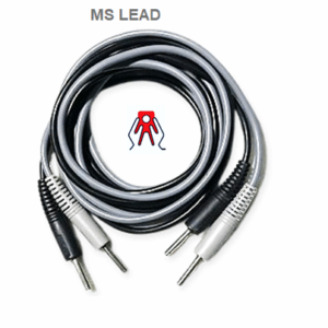 MS lead